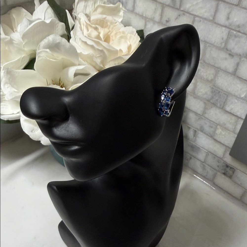 Elegant Blue Gemstone Earrings
